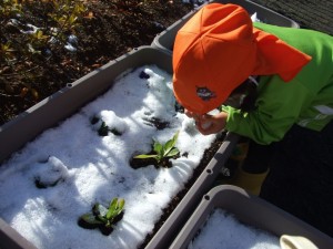 雪に大喜び！