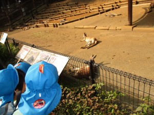 多摩動物園に行ってきました